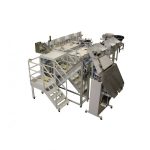Counting and bagging system